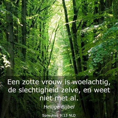 Picture 03 - Spreuken 9:13 NLD - Een zotte vrouw is woelachtig, de slechtigheid - Bible Verse Picture