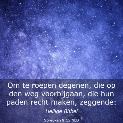 Picture 03 - Spreuken 9:15 NLD - Om te roepen degenen, die op den weg voorbijgaan, - Bible Verse Picture