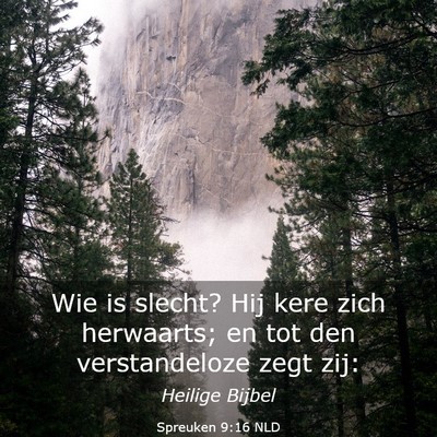 Picture 03 - Spreuken 9:16 NLD - Wie is slecht? Hij kere zich herwaarts; en tot - Bible Verse Picture