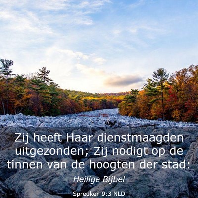 Picture 03 - Spreuken 9:3 NLD - Zij heeft Haar dienstmaagden uitgezonden; Zij - Bible Verse Picture