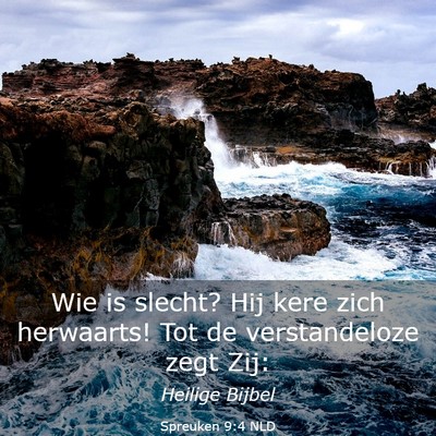 Picture 03 - Spreuken 9:4 NLD - Wie is slecht? Hij kere zich herwaarts! Tot de - Bible Verse Picture