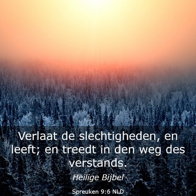 Picture 03 - Spreuken 9:6 NLD - Verlaat de slechtigheden, en leeft; en treedt in - Bible Verse Picture