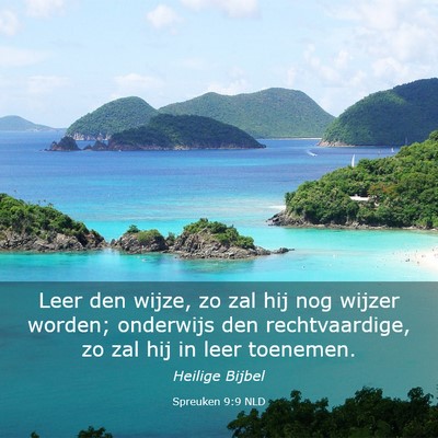 Picture 03 - Spreuken 9:9 NLD - Leer den wijze, zo zal hij nog wijzer worden; - Bible Verse Picture