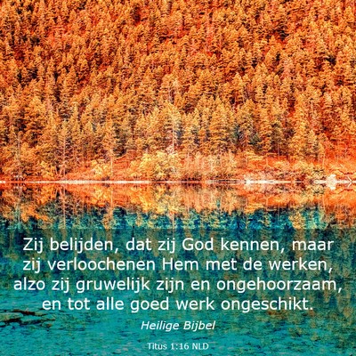 Picture 03 - Titus 1:16 NLD - Zij belijden, dat zij God kennen, maar zij - Bible Verse Picture