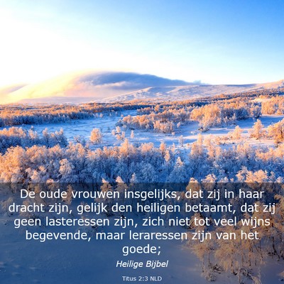 Picture 03 - Titus 2:3 NLD - De oude vrouwen insgelijks, dat zij in haar - Bible Verse Picture