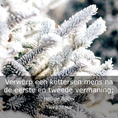 Picture 03 - Titus 3:10 NLD - Verwerp een kettersen mens na de eerste en tweede - Bible Verse Picture