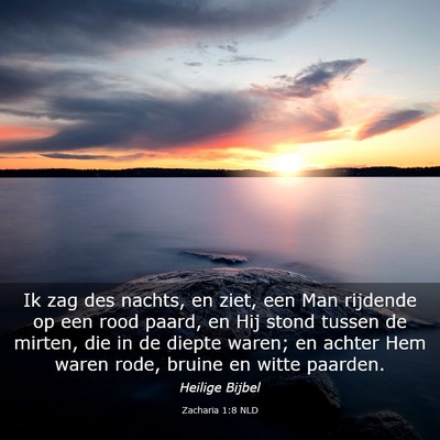Picture 03 - Zacharia 1:8 NLD - Ik zag des nachts, en ziet, een Man rijdende op - Bible Verse Picture
