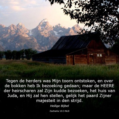 Picture 03 - Zacharia 10:3 NLD - Tegen de herders was Mijn toorn ontstoken, en - Bible Verse Picture