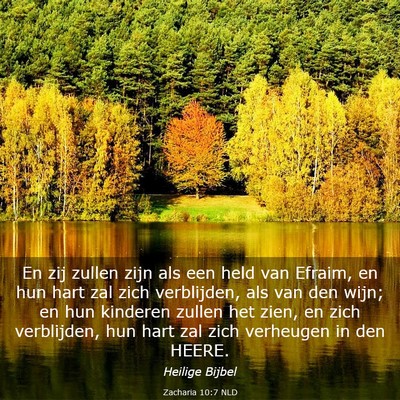 Picture 03 - Zacharia 10:7 NLD - En zij zullen zijn als een held van Efraim, en - Bible Verse Picture