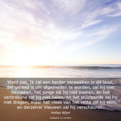 Picture 03 - Zacharia 11:16 NLD - Want ziet, Ik zal een herder verwekken in dit - Bible Verse Picture