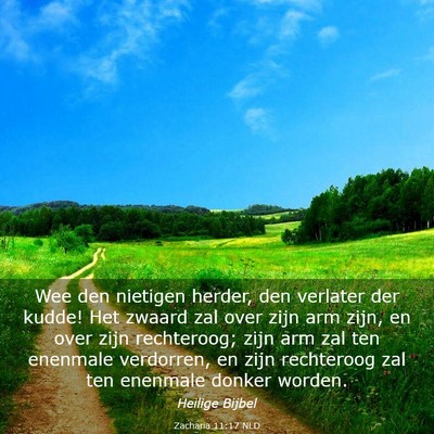 Picture 03 - Zacharia 11:17 NLD - Wee den nietigen herder, den verlater der kudde! - Bible Verse Picture