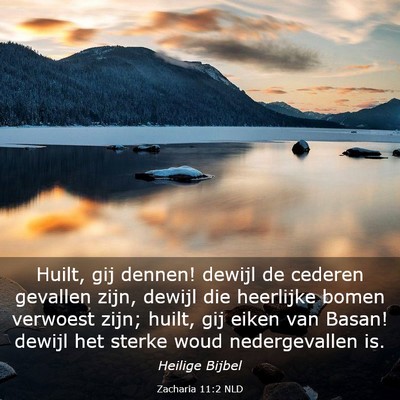 Picture 03 - Zacharia 11:2 NLD - Huilt, gij dennen! dewijl de cederen gevallen - Bible Verse Picture