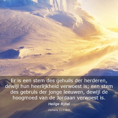 Picture 03 - Zacharia 11:3 NLD - Er is een stem des gehuils der herderen, dewijl - Bible Verse Picture