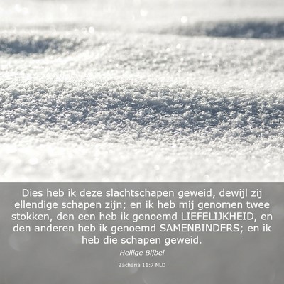 Picture 03 - Zacharia 11:7 NLD - Dies heb ik deze slachtschapen geweid, dewijl zij - Bible Verse Picture