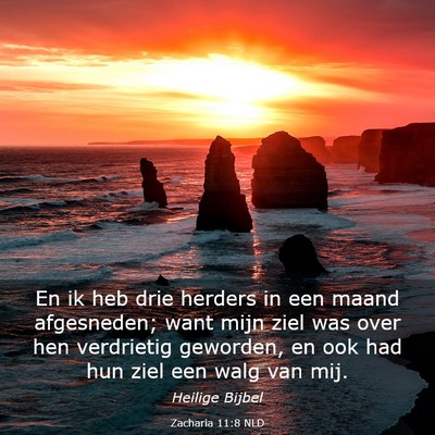 Picture 03 - Zacharia 11:8 NLD - En ik heb drie herders in een maand afgesneden; - Bible Verse Picture