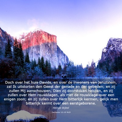 Picture 03 - Zacharia 12:10 NLD - Doch over het huis Davids, en over de inwoners - Bible Verse Picture