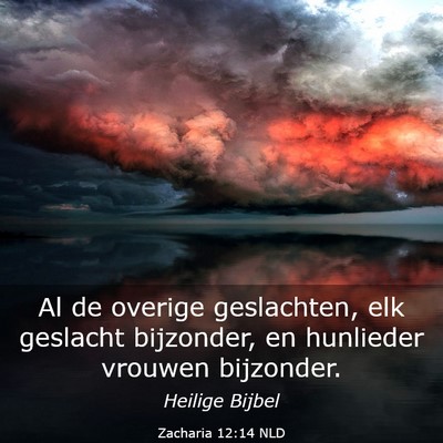 Picture 03 - Zacharia 12:14 NLD - Al de overige geslachten, elk geslacht bijzonder, - Bible Verse Picture