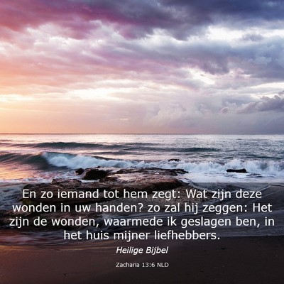 Picture 03 - Zacharia 13:6 NLD - En zo iemand tot hem zegt: Wat zijn deze wonden - Bible Verse Picture