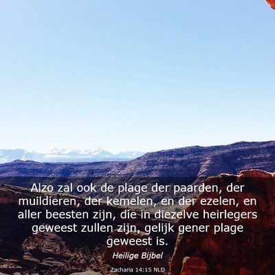 Picture 03 - Zacharia 14:15 NLD - Alzo zal ook de plage der paarden, der - Bible Verse Picture