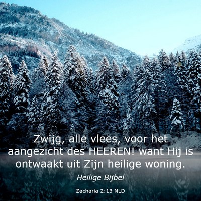 Picture 03 - Zacharia 2:13 NLD - Zwijg, alle vlees, voor het aangezicht des - Bible Verse Picture