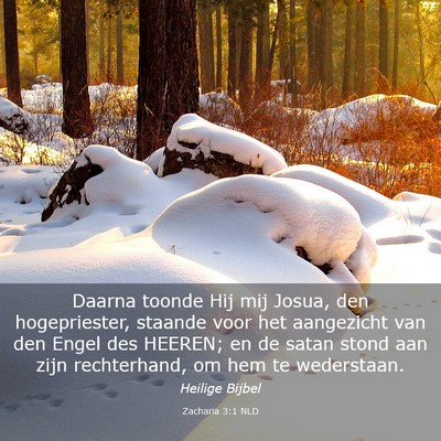 Picture 03 - Zacharia 3:1 NLD - Daarna toonde Hij mij Josua, den hogepriester, - Bible Verse Picture