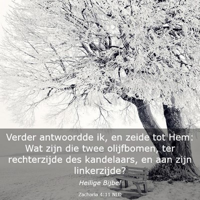 Picture 03 - Zacharia 4:11 NLD - Verder antwoordde ik, en zeide tot Hem: Wat zijn - Bible Verse Picture