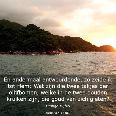Picture 03 - Zacharia 4:12 NLD - En andermaal antwoordende, zo zeide ik tot Hem: - Bible Verse Picture