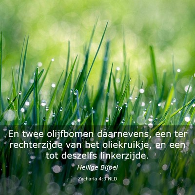 Picture 03 - Zacharia 4:3 NLD - En twee olijfbomen daarnevens, een ter - Bible Verse Picture