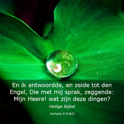 Picture 03 - Zacharia 4:4 NLD - En ik antwoordde, en zeide tot den Engel, Die met - Bible Verse Picture