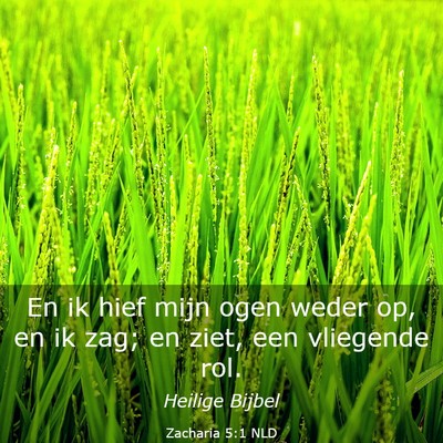 Picture 03 - Zacharia 5:1 NLD - En ik hief mijn ogen weder op, en ik zag; en - Bible Verse Picture