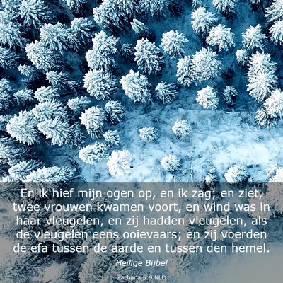 Picture 03 - Zacharia 5:9 NLD - En ik hief mijn ogen op, en ik zag; en ziet, twee - Bible Verse Picture