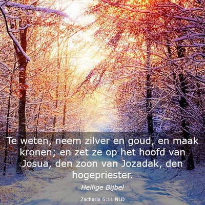 Picture 03 - Zacharia 6:11 NLD - Te weten, neem zilver en goud, en maak kronen; en - Bible Verse Picture
