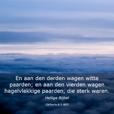 Picture 03 - Zacharia 6:3 NLD - En aan den derden wagen witte paarden; en aan den - Bible Verse Picture