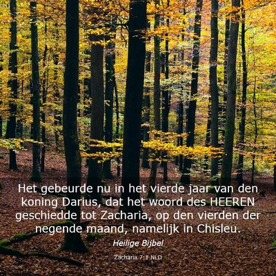 Picture 03 - Zacharia 7:1 NLD - Het gebeurde nu in het vierde jaar van den koning - Bible Verse Picture