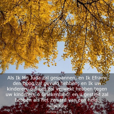 Picture 03 - Zacharia 9:13 NLD - Als Ik Mij Juda zal gespannen, en Ik Efraim den - Bible Verse Picture