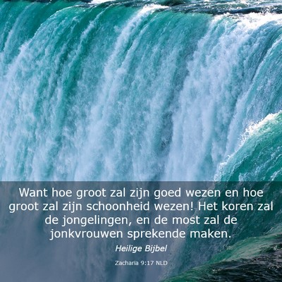 Picture 03 - Zacharia 9:17 NLD - Want hoe groot zal zijn goed wezen en hoe groot - Bible Verse Picture