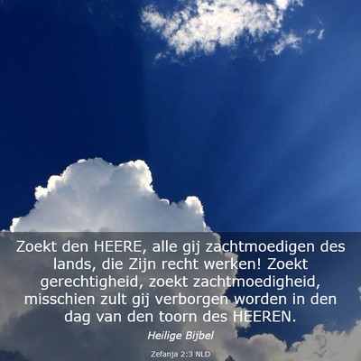 Picture 03 - Zefanja 2:3 NLD - Zoekt den HEERE, alle gij zachtmoedigen des - Bible Verse Picture