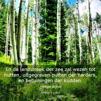 Picture 03 - Zefanja 2:6 NLD - En de landstreek der zee zal wezen tot hutten, - Bible Verse Picture