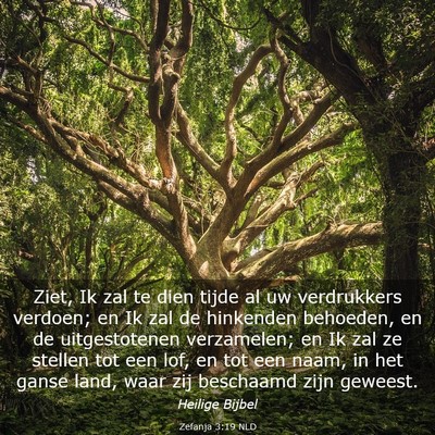 Picture 03 - Zefanja 3:19 NLD - Ziet, Ik zal te dien tijde al uw verdrukkers - Bible Verse Picture