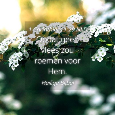 Picture 04 - 1 Corinthiërs 1:29 NLD - Opdat geen vlees zou roemen voor - Bible Verse Picture