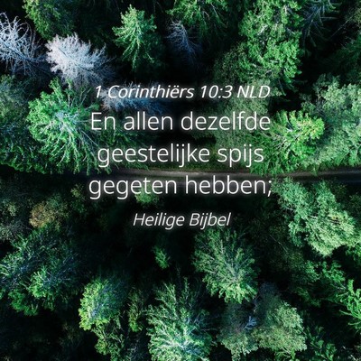 Picture 04 - 1 Corinthiërs 10:3 NLD - En allen dezelfde geestelijke spijs gegeten - Bible Verse Picture