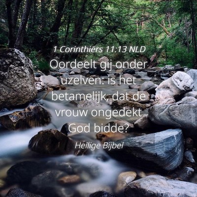 Picture 04 - 1 Corinthiërs 11:13 NLD - Oordeelt gij onder uzelven: is het betamelijk, - Bible Verse Picture