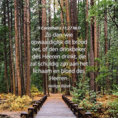 Picture 04 - 1 Corinthiërs 11:27 NLD - Zo dan, wie onwaardiglijk dit brood eet, of den - Bible Verse Picture