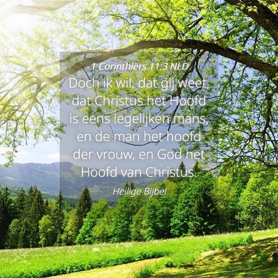 Picture 04 - 1 Corinthiërs 11:3 NLD - Doch ik wil, dat gij weet, dat Christus het Hoofd - Bible Verse Picture