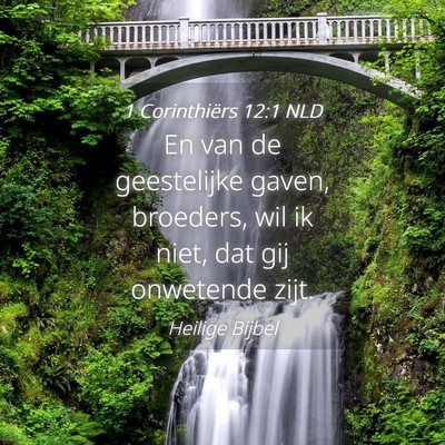 Picture 04 - 1 Corinthiërs 12:1 NLD - En van de geestelijke gaven, broeders, wil ik - Bible Verse Picture