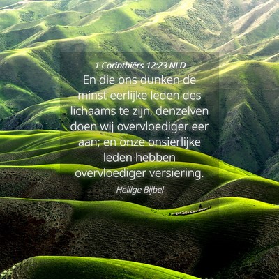 Picture 04 - 1 Corinthiërs 12:23 NLD - En die ons dunken de minst eerlijke leden des - Bible Verse Picture