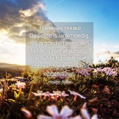 Picture 04 - 1 Corinthiërs 13:4 NLD - De liefde is lankmoedig, zij is goedertieren; de - Bible Verse Picture