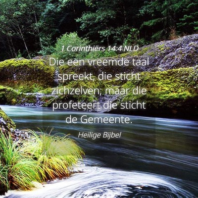 Picture 04 - 1 Corinthiërs 14:4 NLD - Die een vreemde taal spreekt, die sticht - Bible Verse Picture