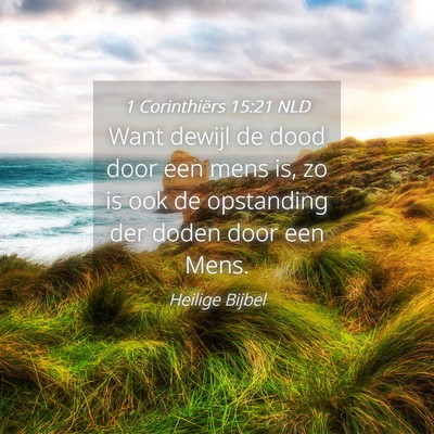 Picture 04 - 1 Corinthiërs 15:21 NLD - Want dewijl de dood door een mens is, zo is ook - Bible Verse Picture