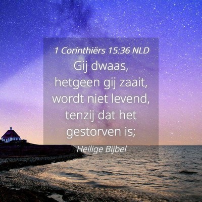 Picture 04 - 1 Corinthiërs 15:36 NLD - Gij dwaas, hetgeen gij zaait, wordt niet levend, - Bible Verse Picture